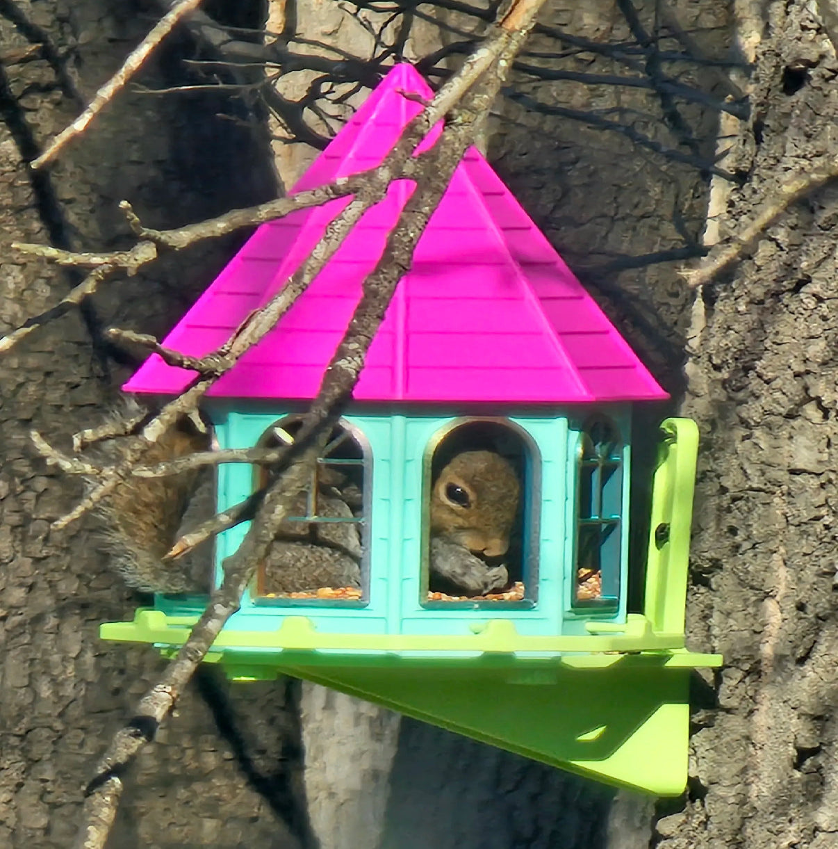 Classic Octagonal Bird Feeder – Timeless Design, Customizable Size & Color