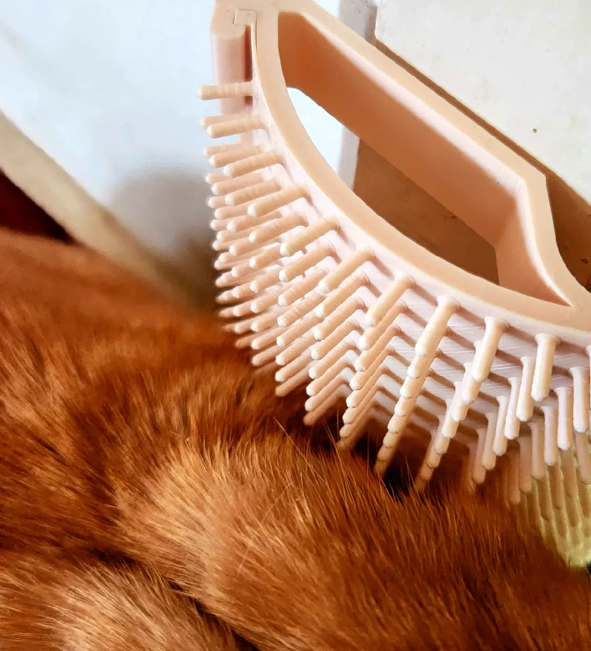 Self Groomer for Pets – Convenient, Soothing, and Customizable Size & Color