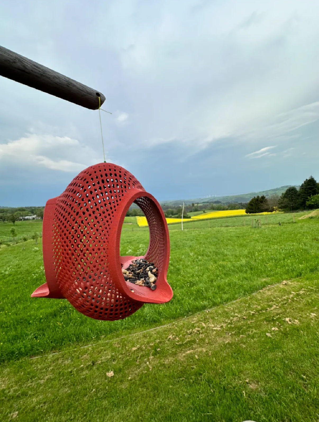 Printednest Bird Feeder 4.5 – Compact, Charming, and Customizable