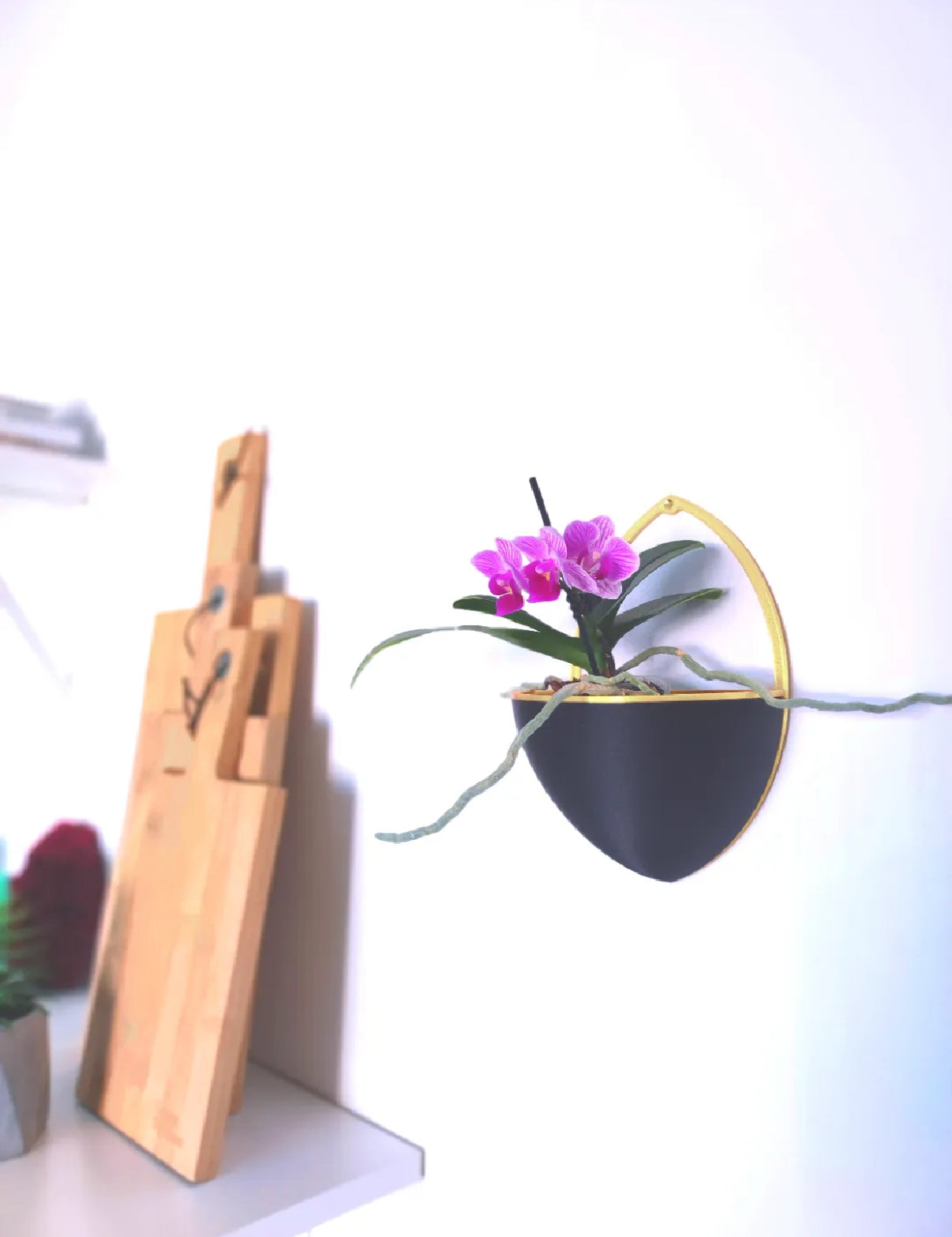 Vase Kade B2 with Wall Mount