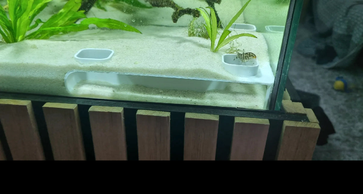 Fish Tank Corner Tunnel