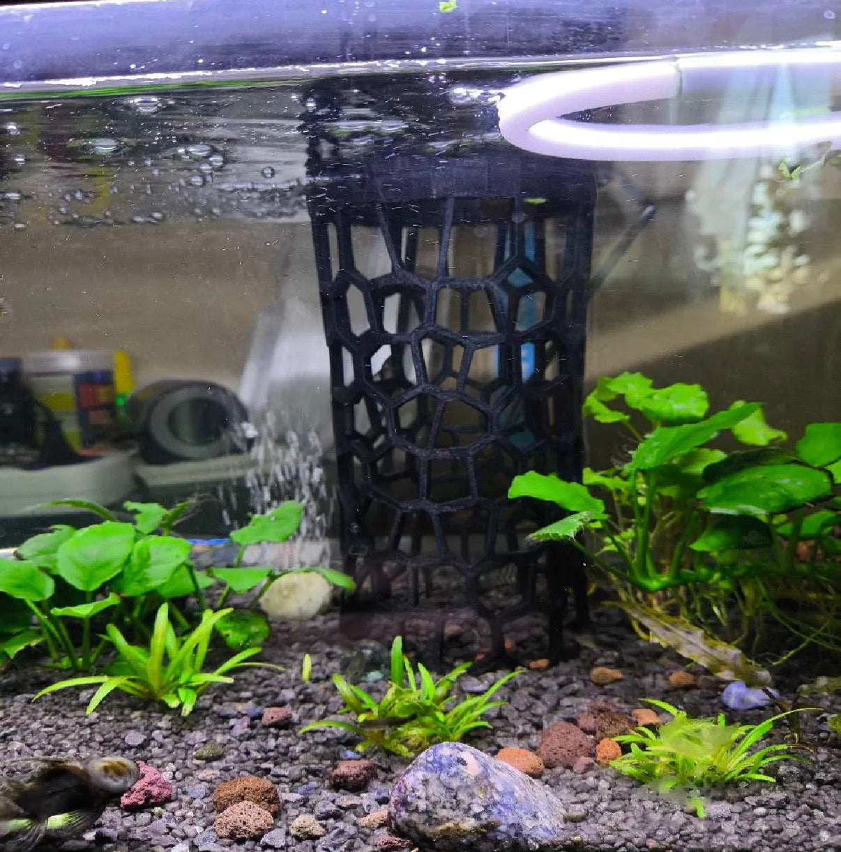 Vase to Aquarium