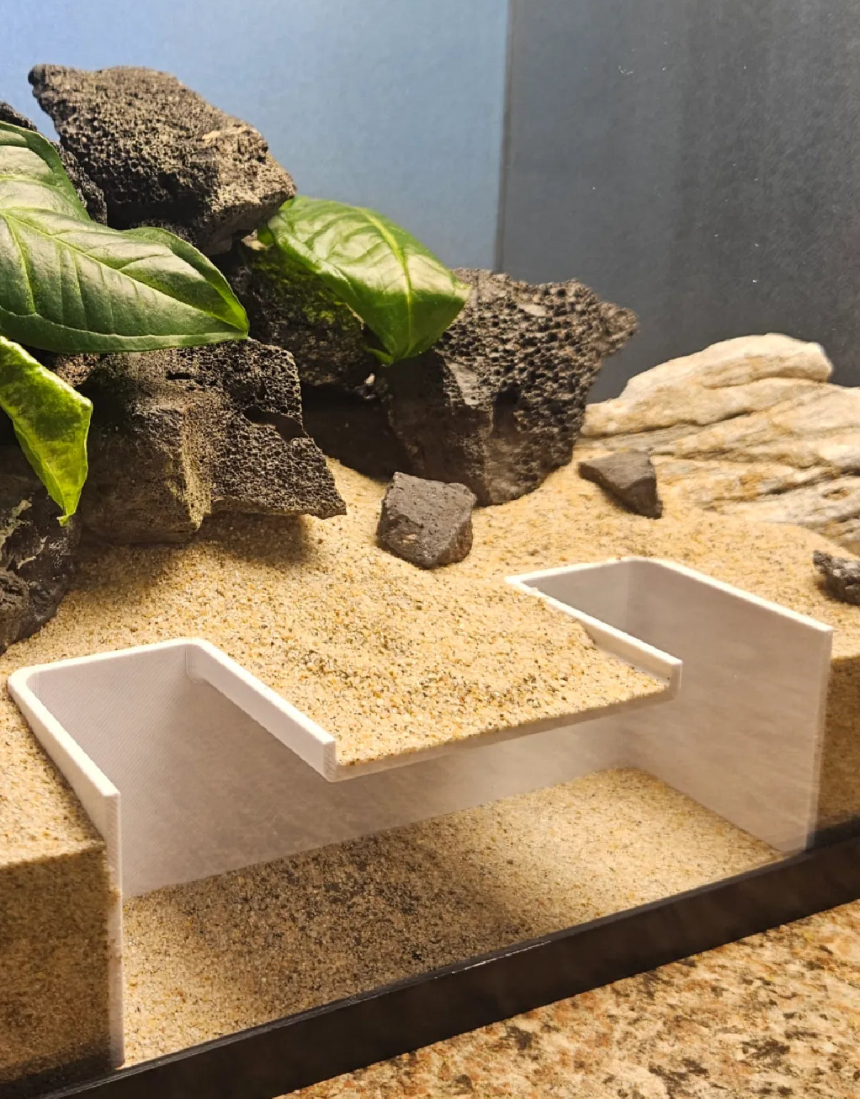 Simple aquarium swim through cave