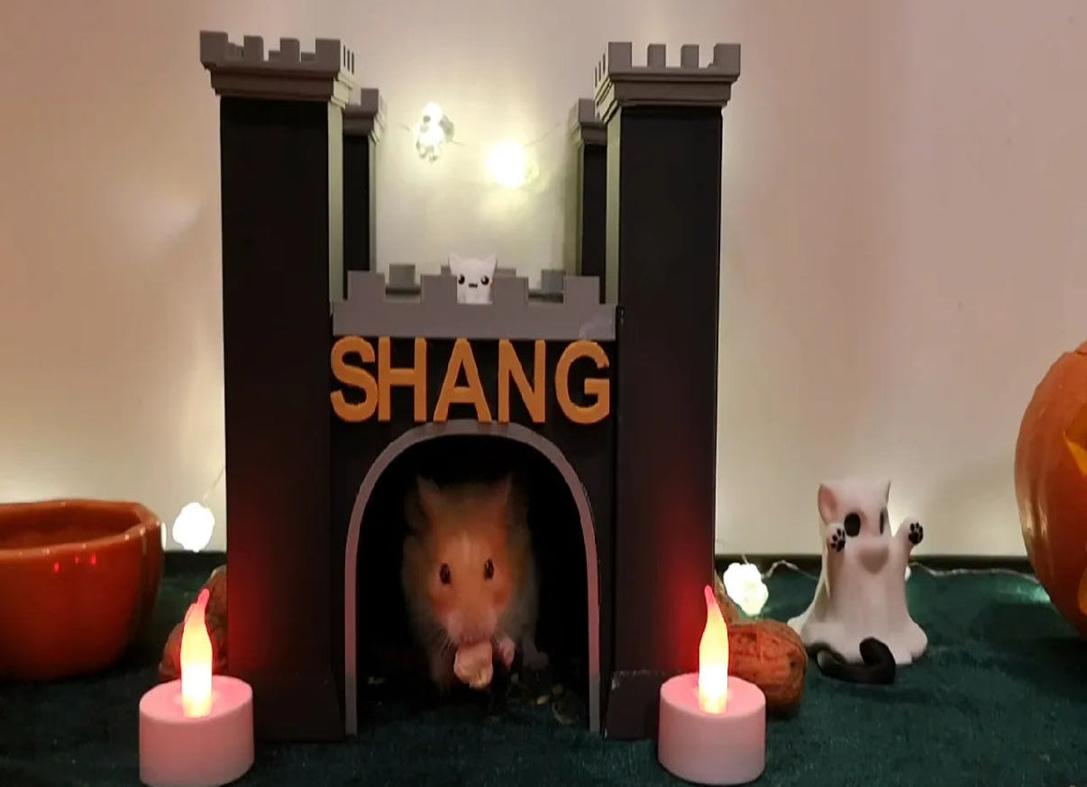 Castle Small Pets (Guinea Pig, Hamster, Hedgehog)