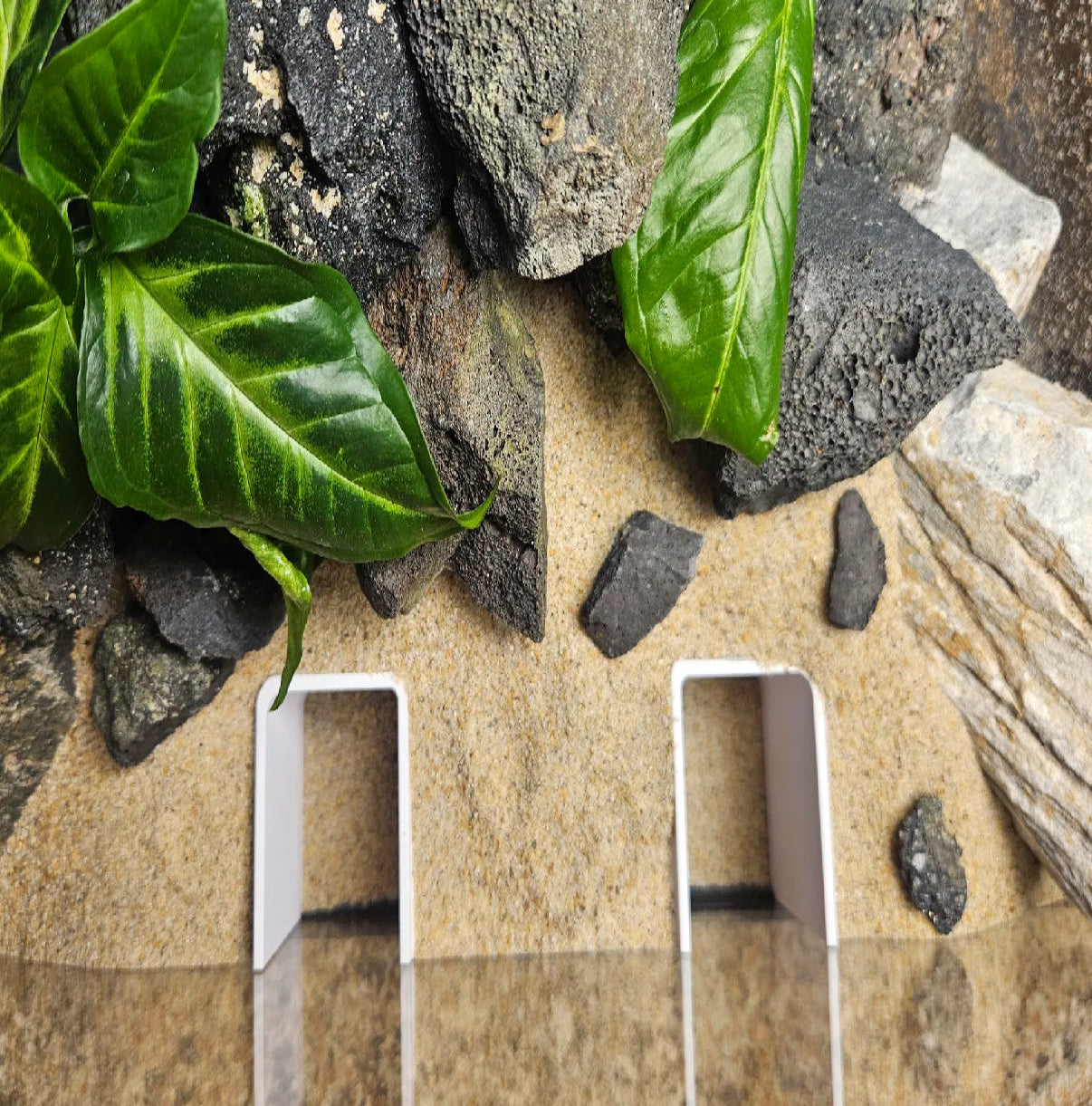 Simple Aquarium Swim-Through Cave