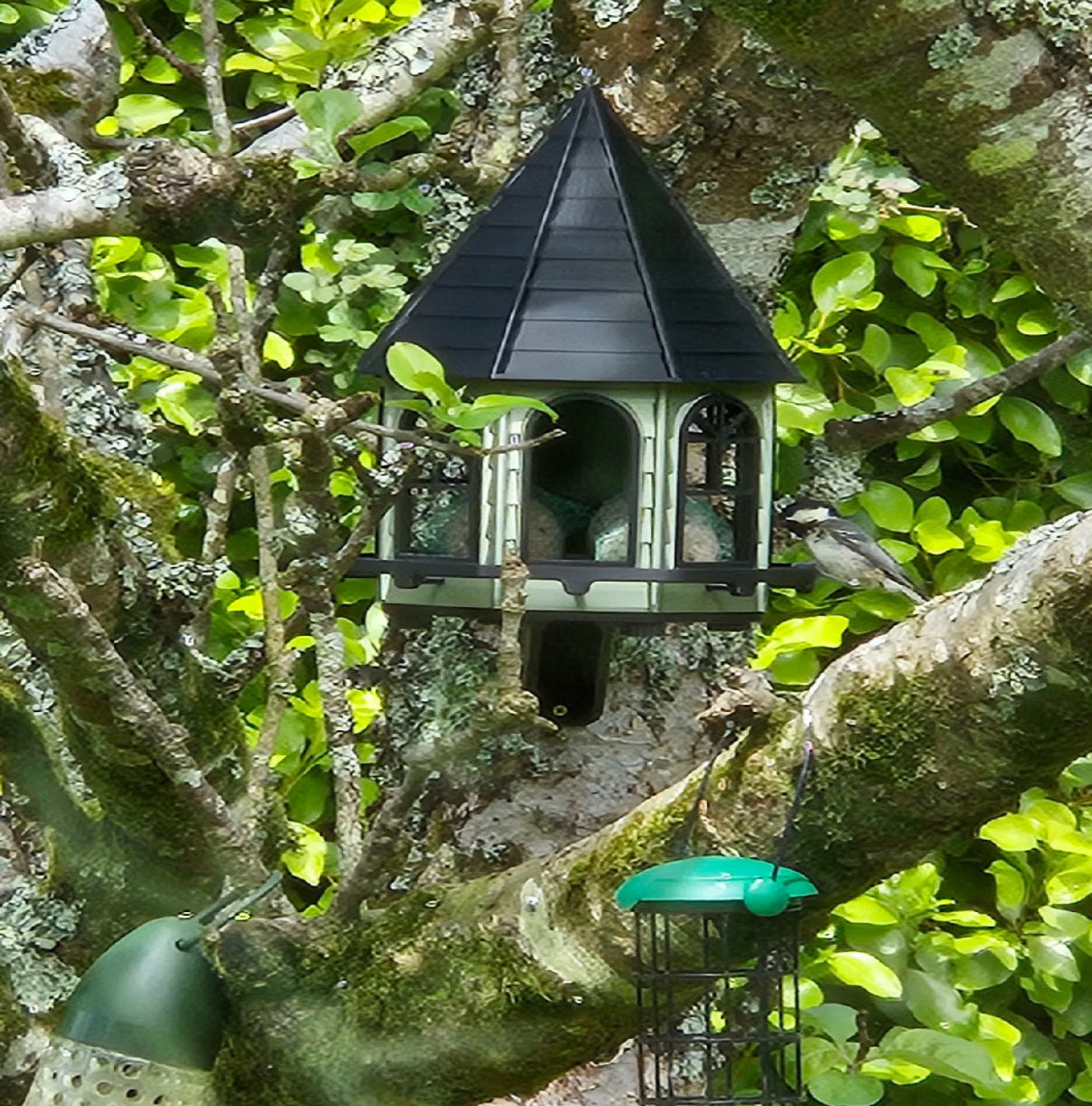 Classic Octagonal Bird Feeder – Timeless Design, Customizable Size & Color