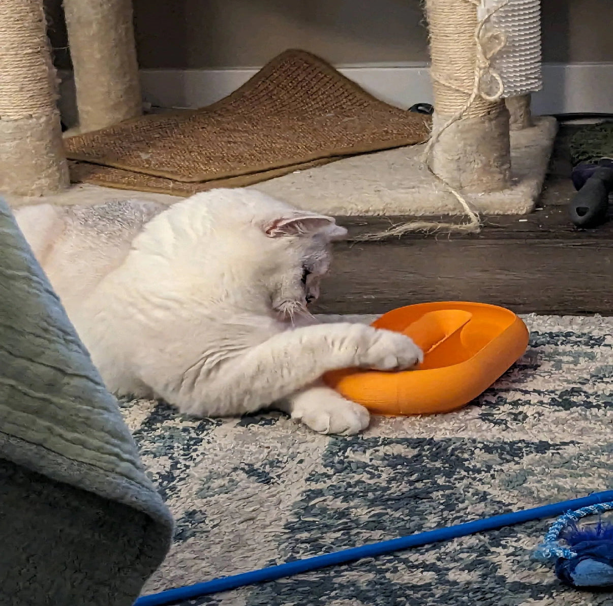 Cat Toy Oval – Interactive Fun in a Customizable Color and Size