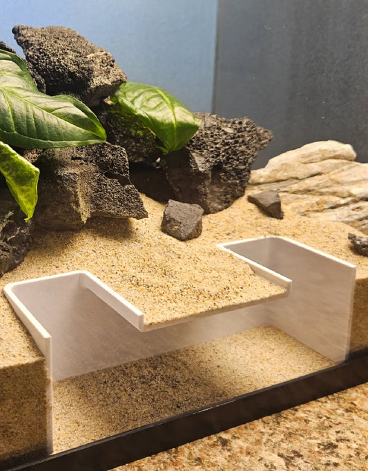 Simple aquarium swim through cave