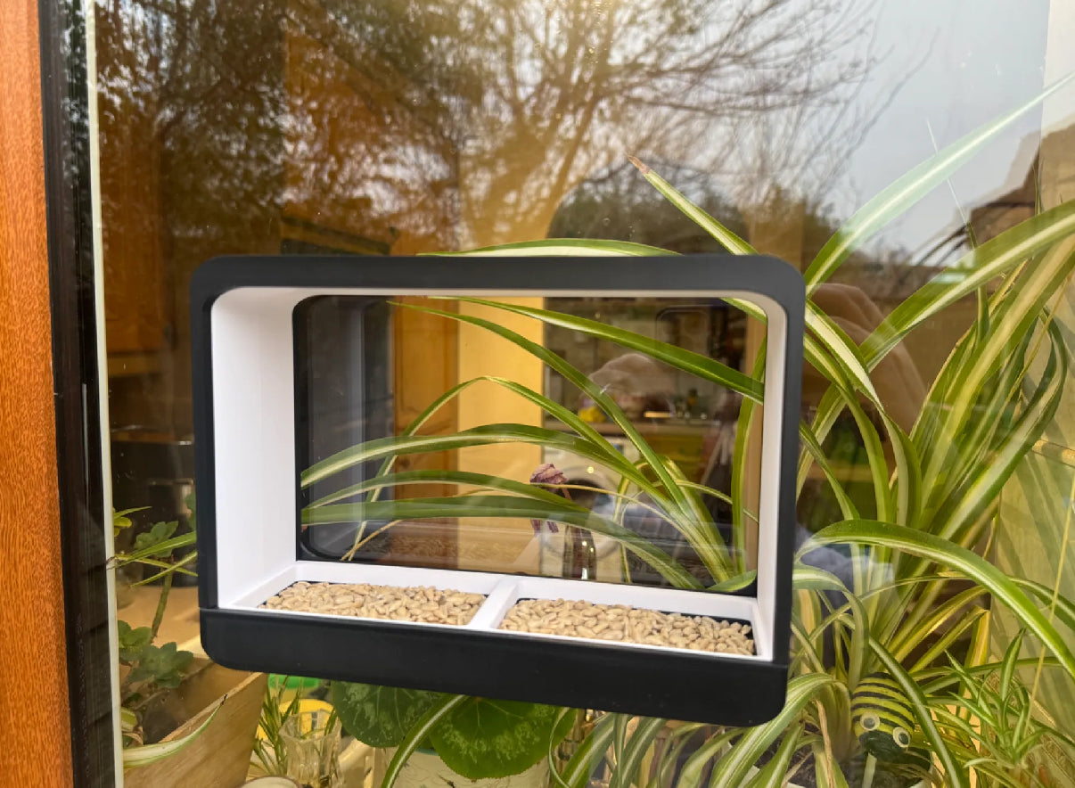 Window Bird Feeder with Removable Food Tray - Customizable Size and Color