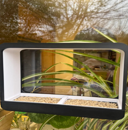 Window Bird Feeder with Removable Food Tray - Customizable Size and Color