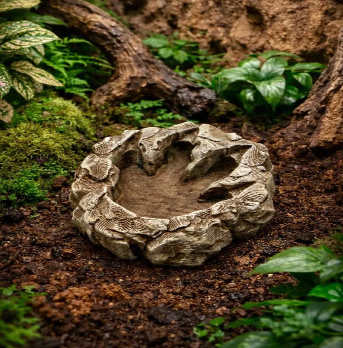 Dragon's Trace Bowl