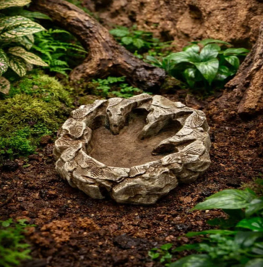 Dragon's Trace Bowl