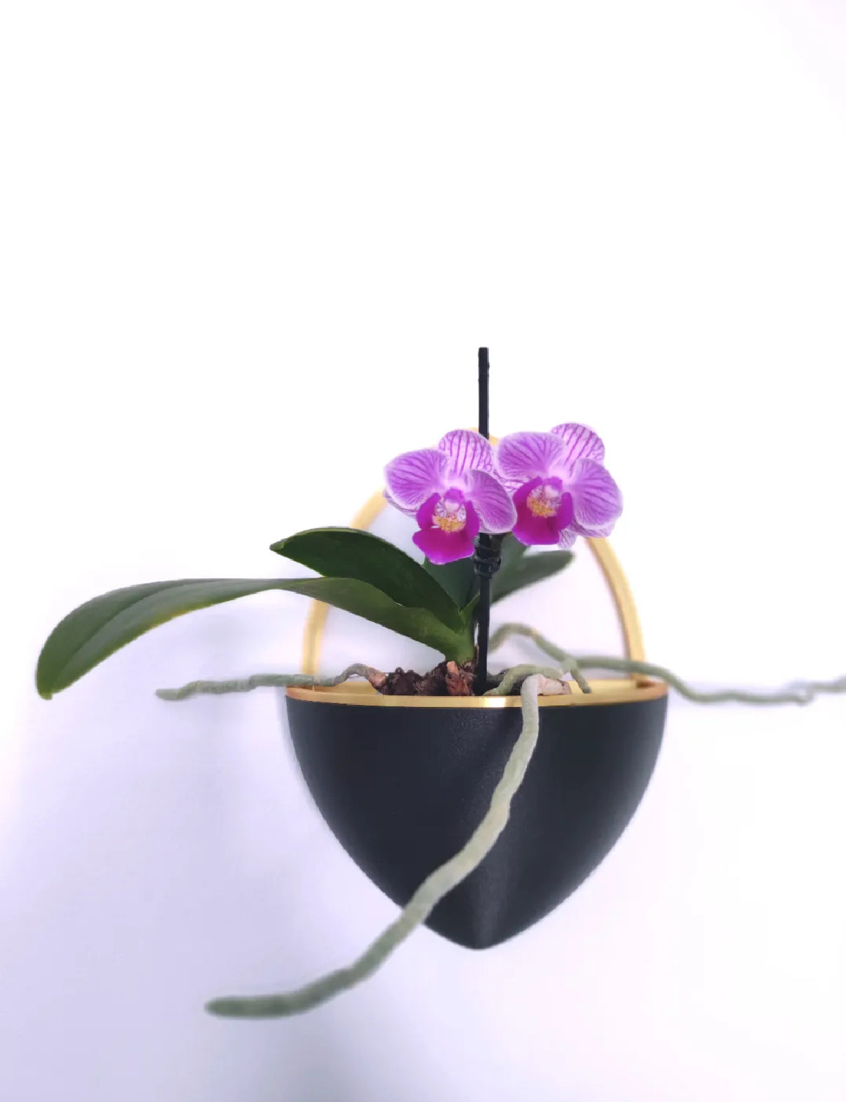 Vase Kade B2 with Wall Mount