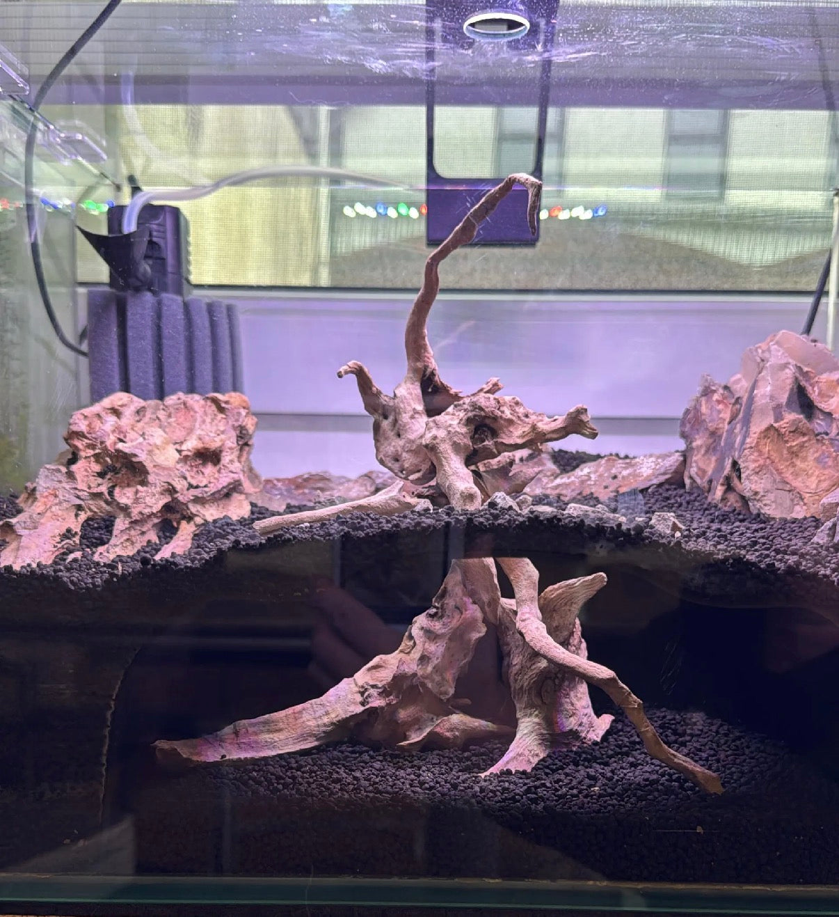 Invisible Aquarium Cave Hideout