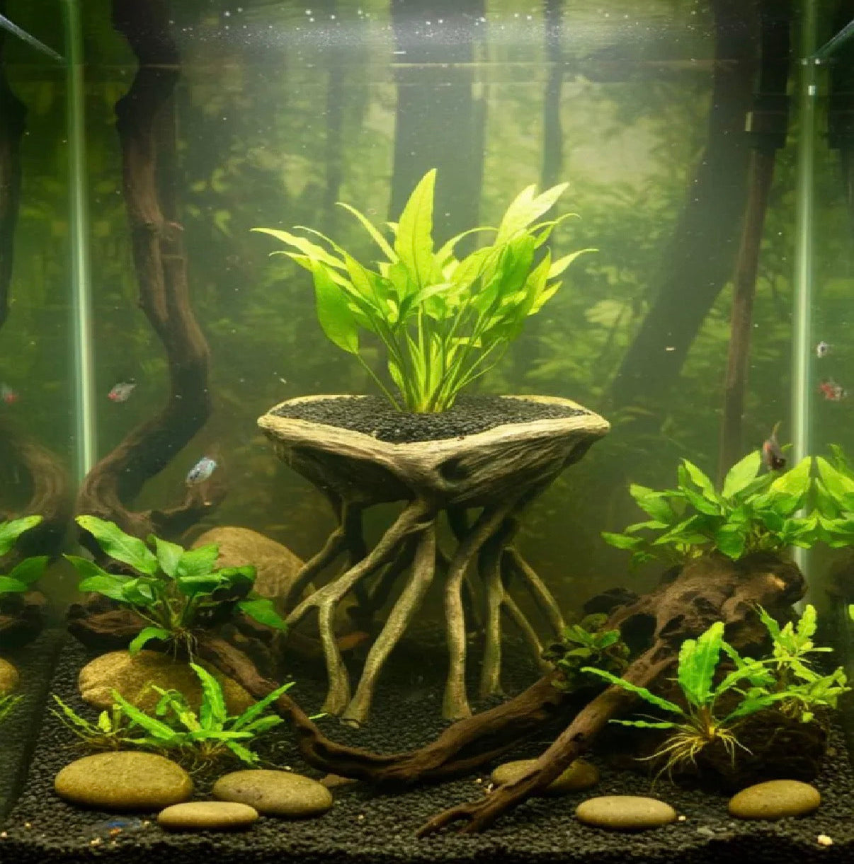 Large Root Planter for Fish Tank