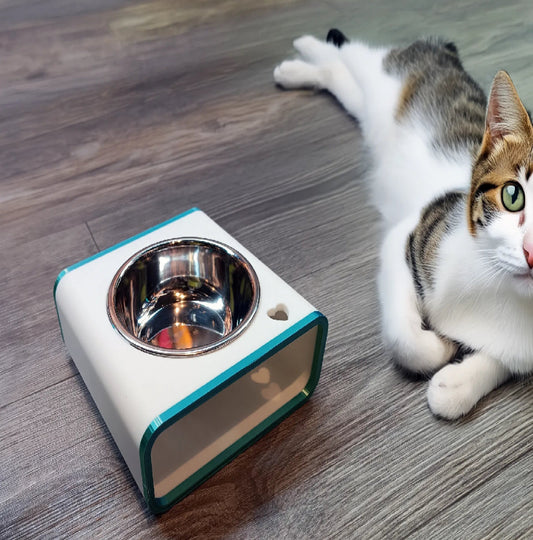Cat and Dog Food Bowl Raiser Stand – Customizable Size & Color