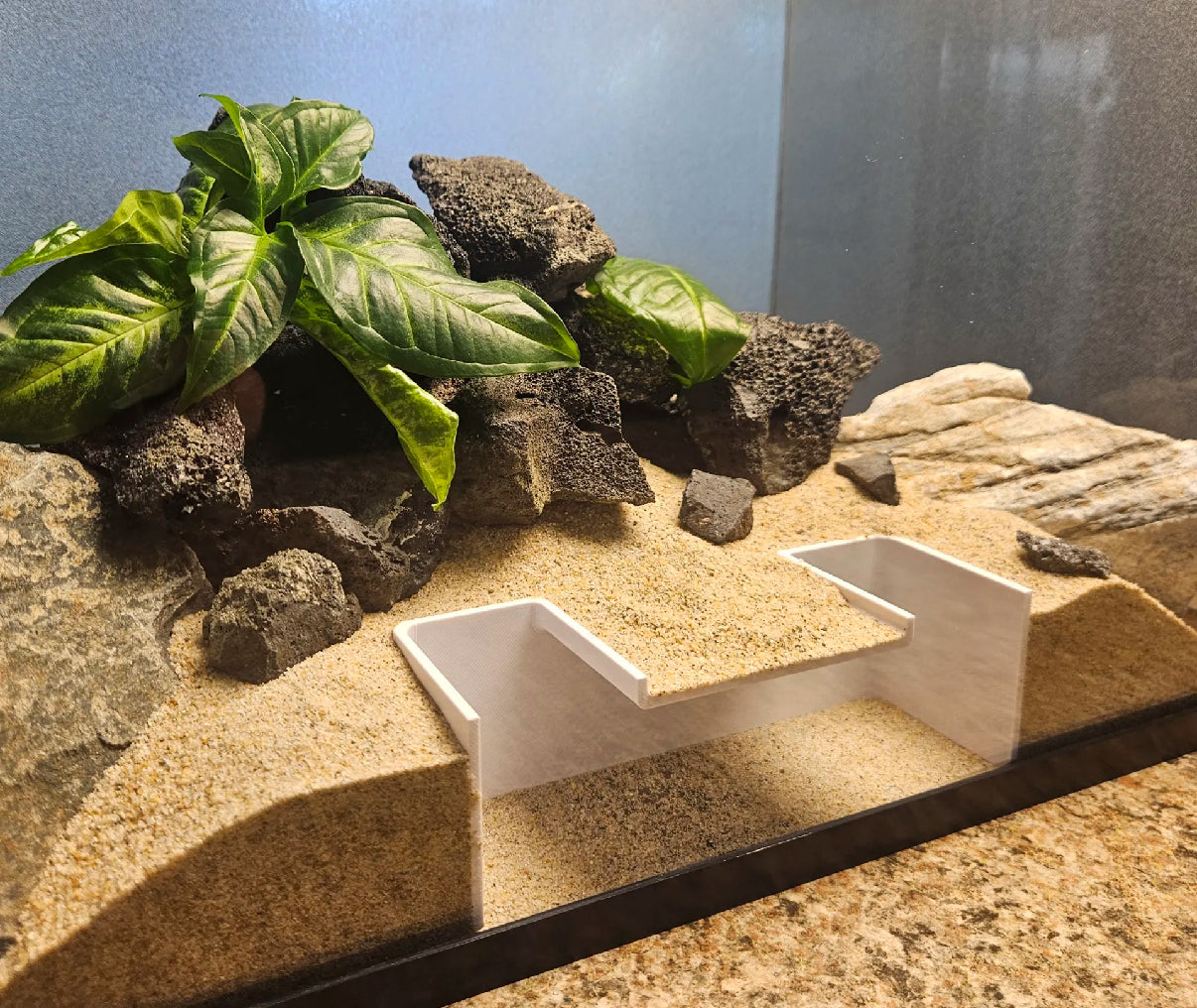Simple aquarium swim through cave