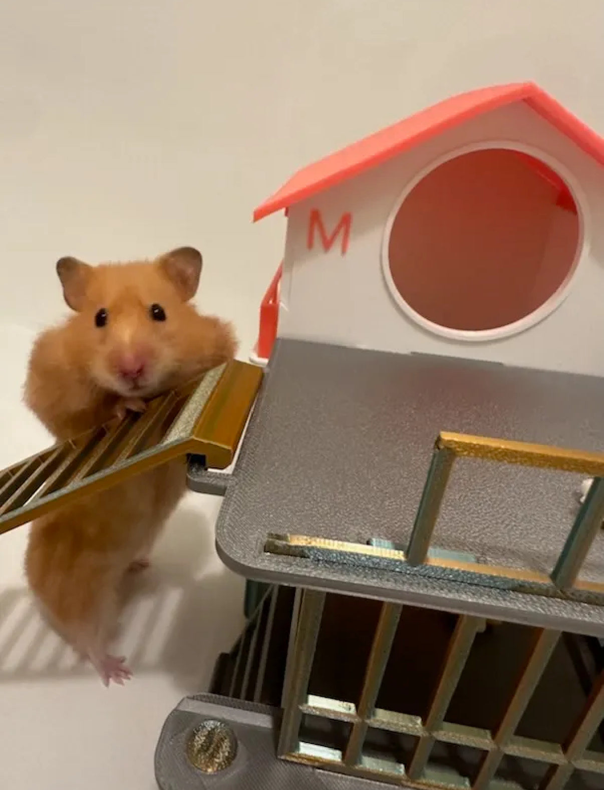 Hamster Pet House small version