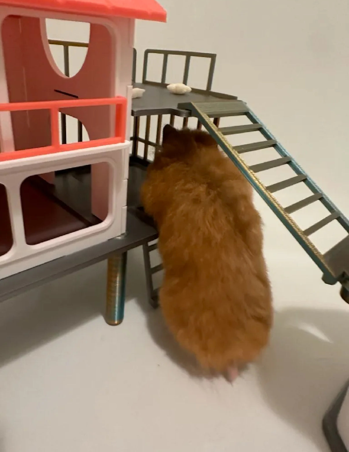 Hamster Pet House small version