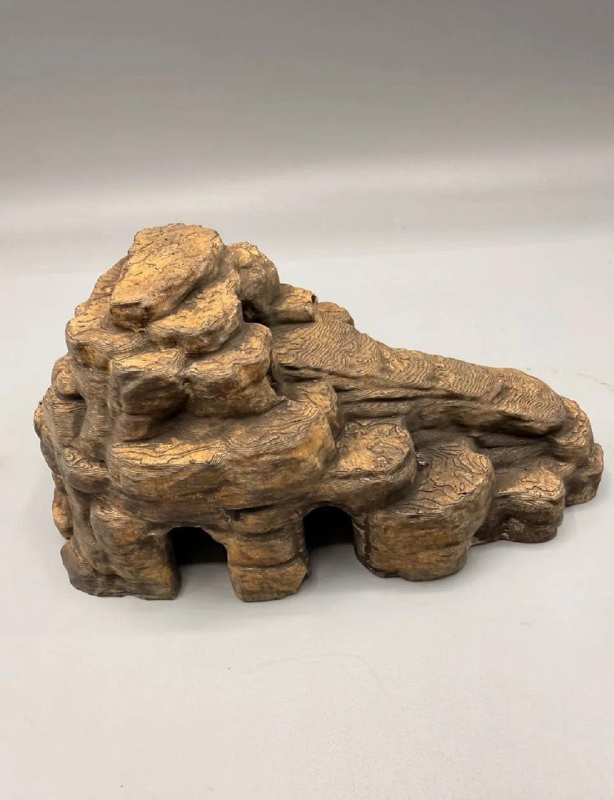 Desert cave aquarium
