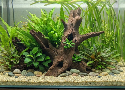 Aquarium Terrarium Driftwood Tree Stump Root