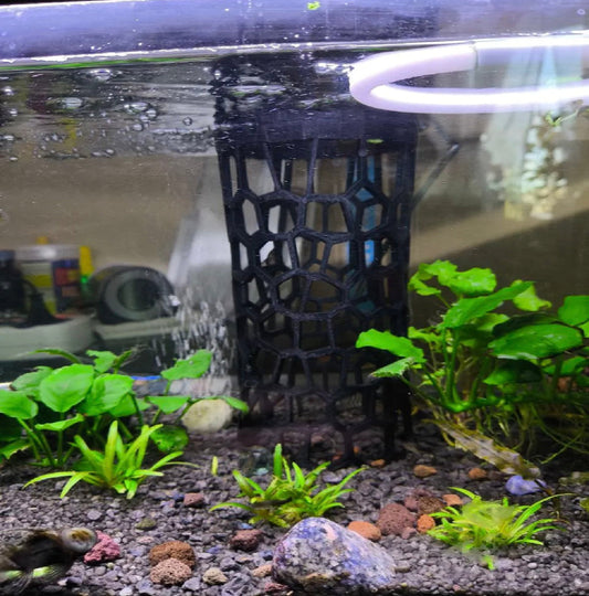 Vase to Aquarium