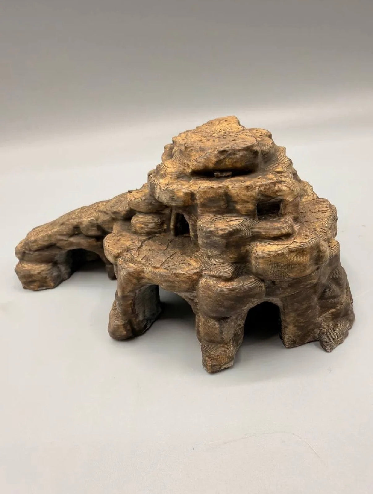 Desert cave aquarium