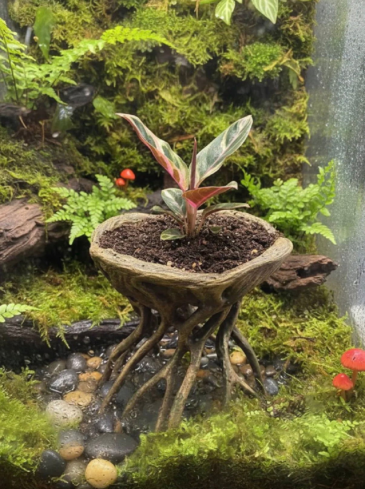 Large Root Planter for Fish Tank