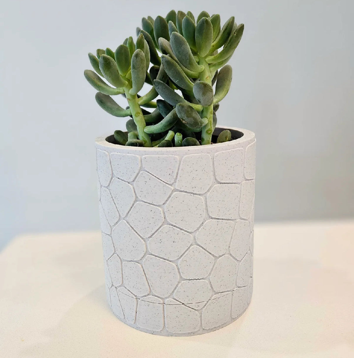 Pebble Planter with Hidden Drip Tray