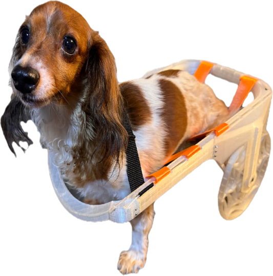 Handicap Dog Cart - Customized 3D-Printed