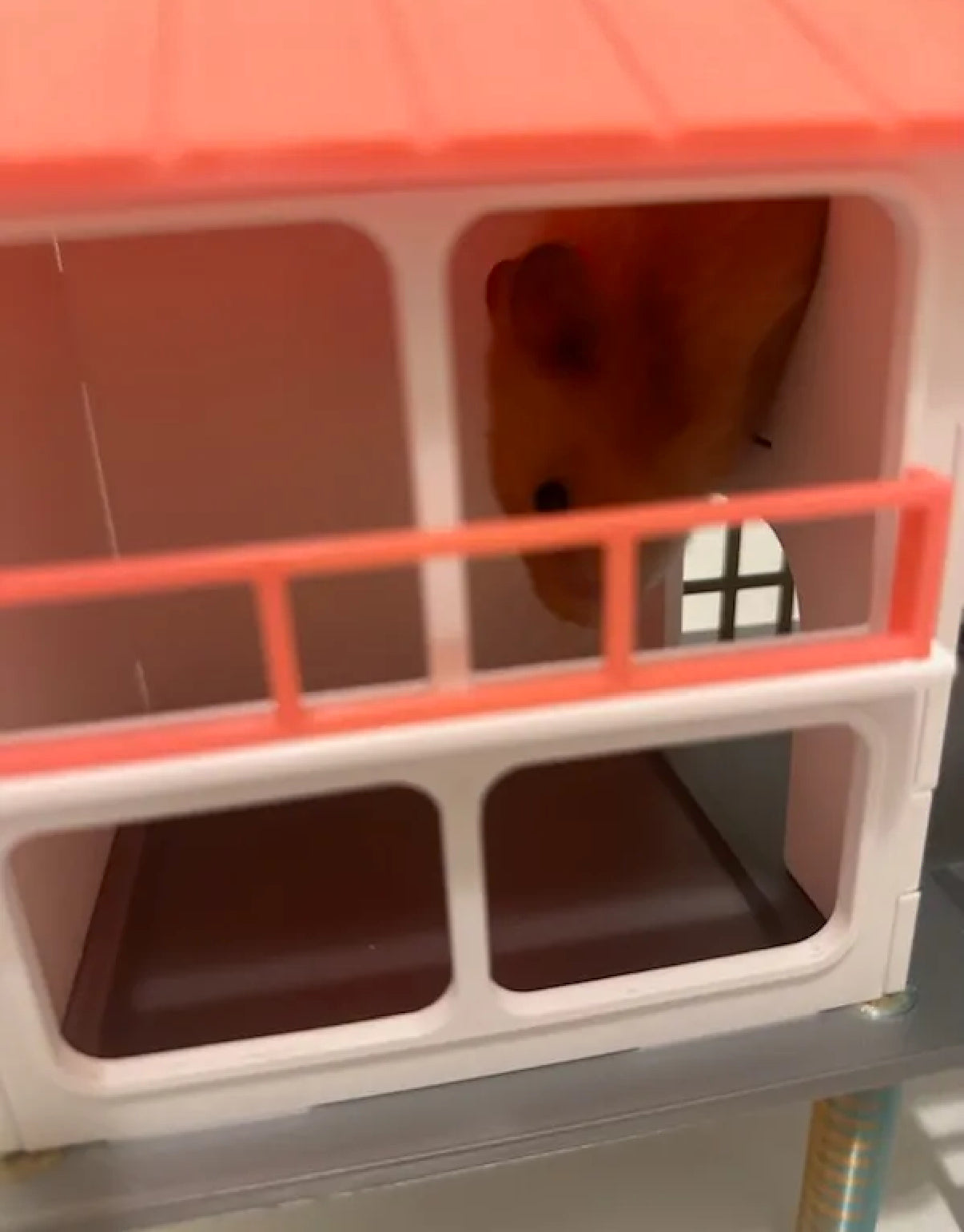 Hamster Pet House small version