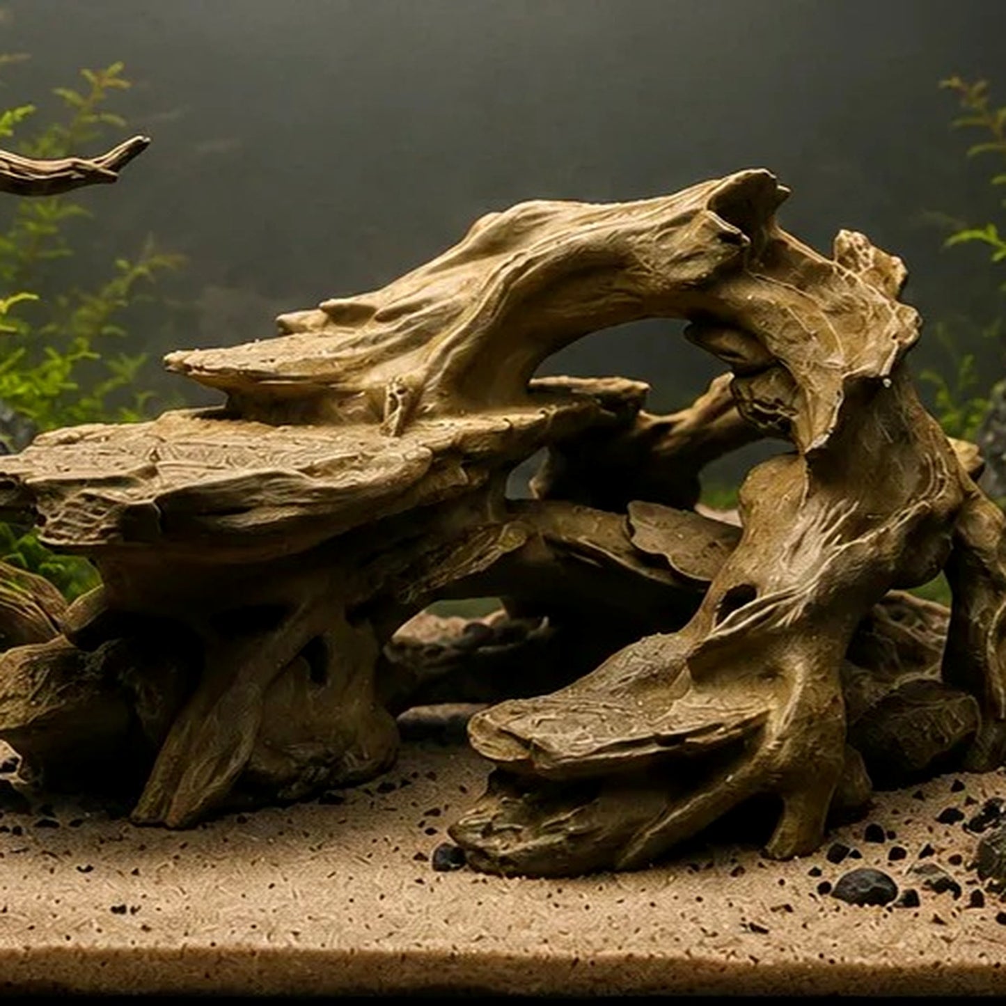 Tropical Driftwood Cave Terrarium & Aquarium