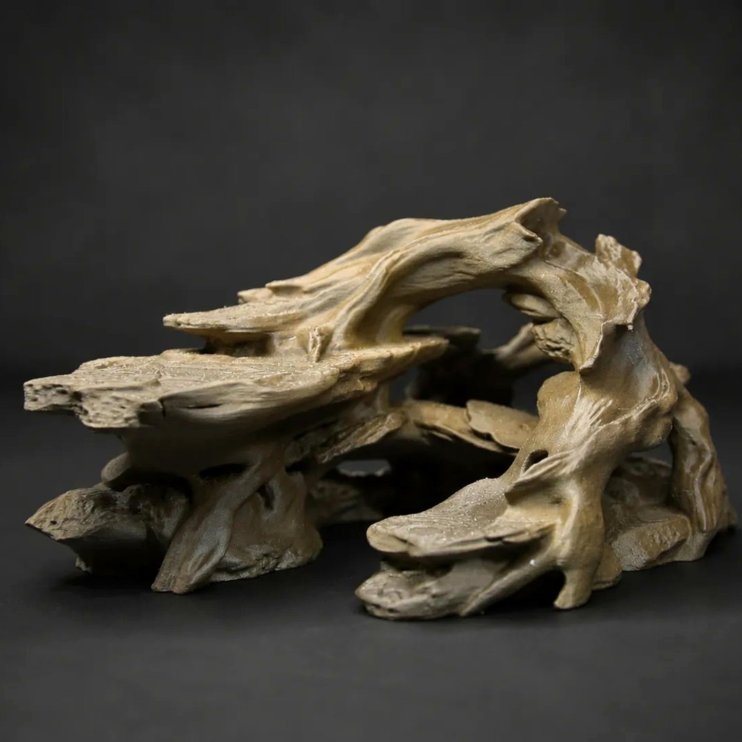 Tropical Driftwood Cave Terrarium & Aquarium