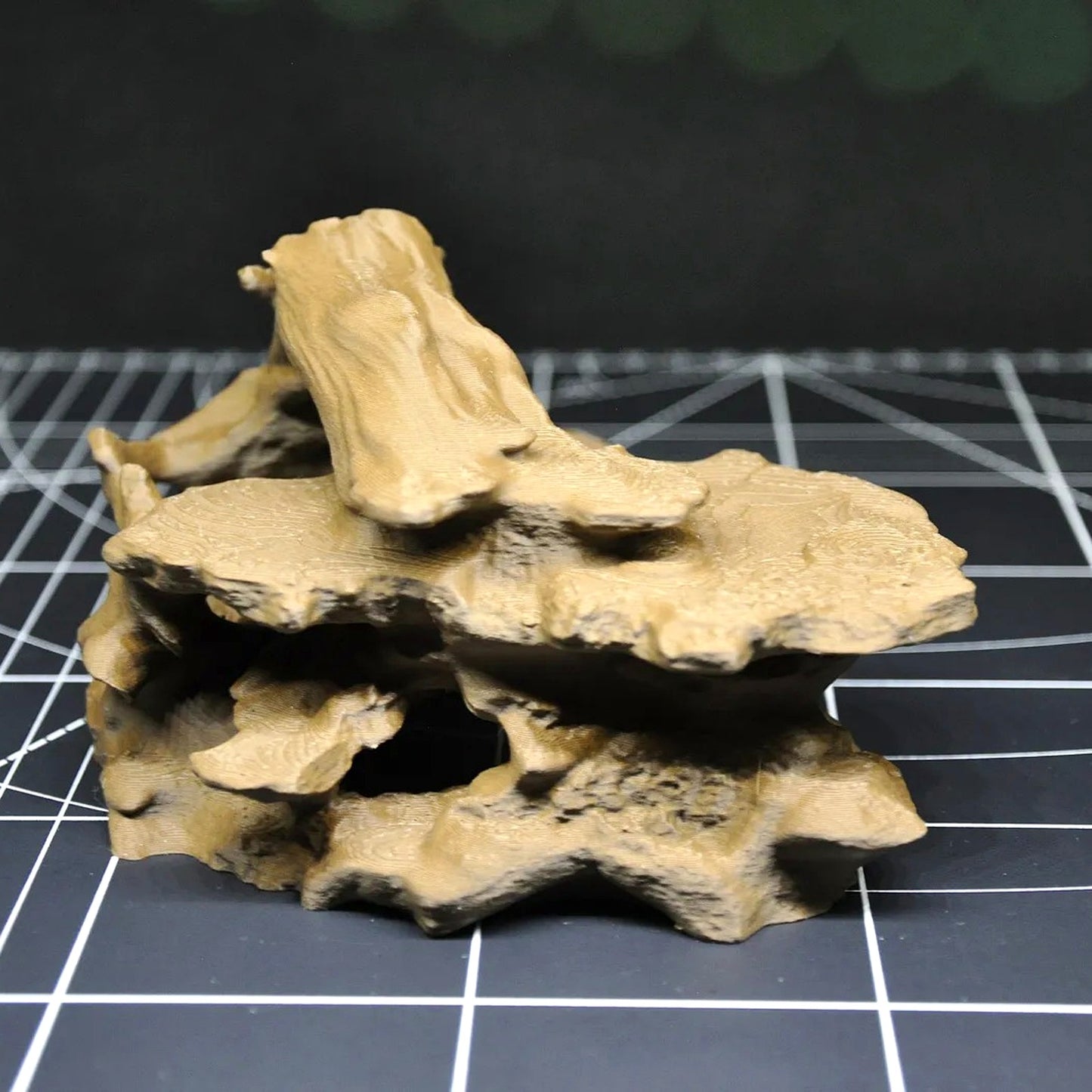 Tropical Driftwood Cave Terrarium & Aquarium