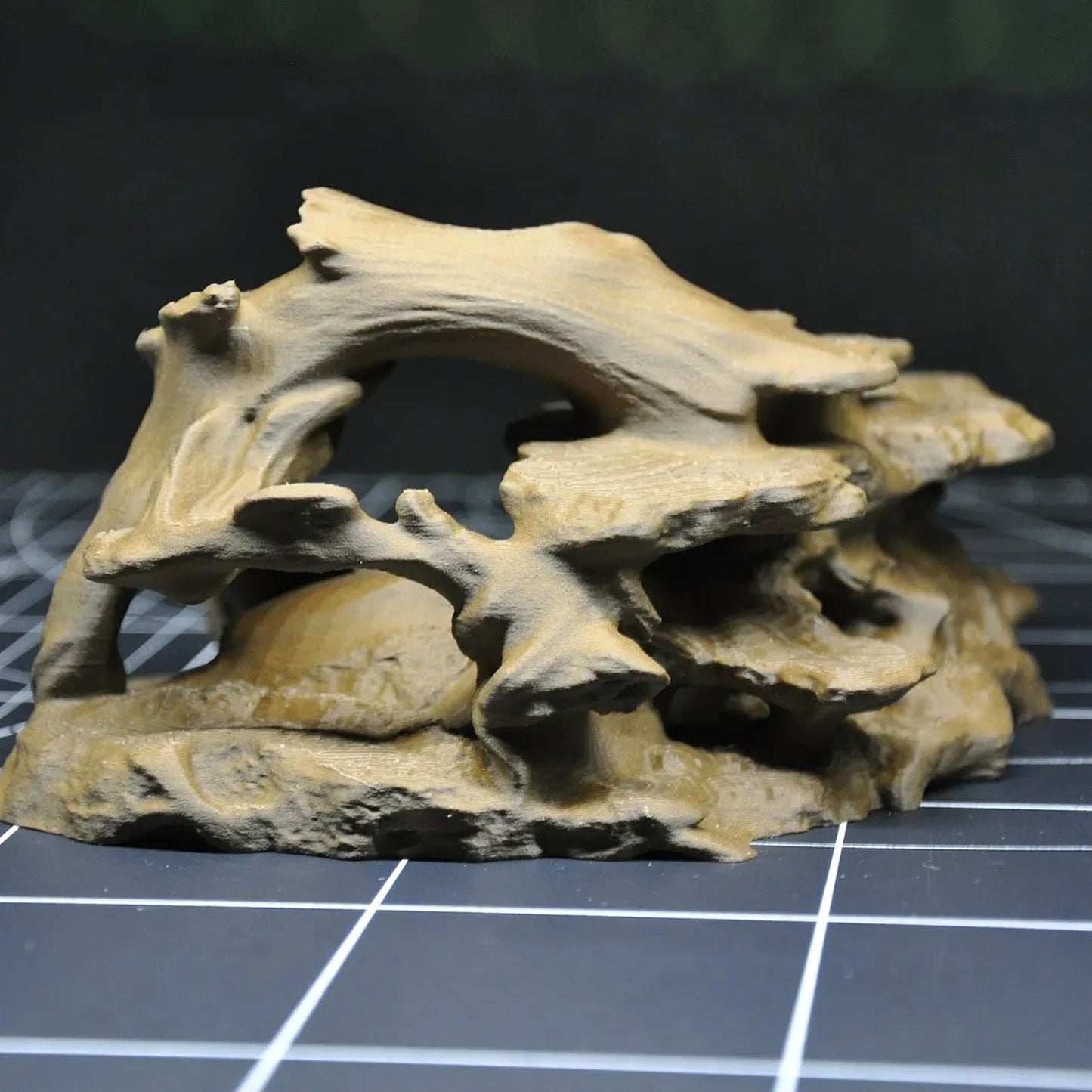 Tropical Driftwood Cave Terrarium & Aquarium